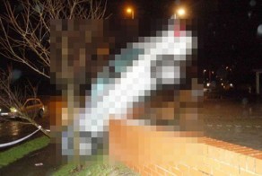 Женская парковка автомобиля на стене (4 фото)