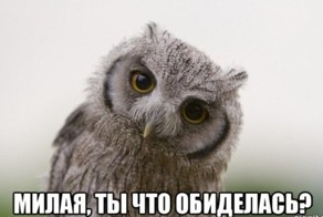 Милая, ты что обиделась?