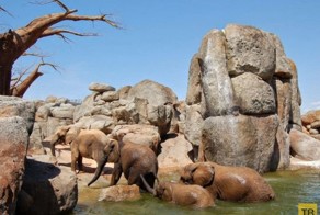 Биопарк Валенсия в Испании