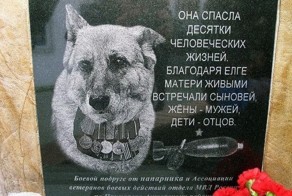 Фотоприкол онлайн бесплатно