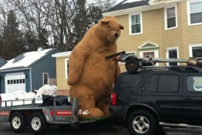 Новый фотоприкол