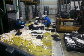 Их рабочий день не задался