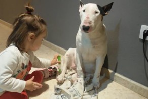 Самый терпеливый пациент