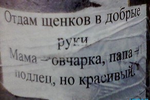 Просто смешные картинки