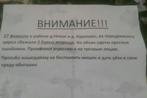 Шедевральные объявления