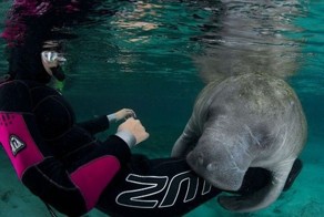 Фотоприкол бесплатно