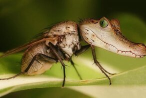 Вы бы приняли на работу такого специалиста? 