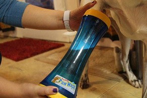 Изобретения для собак, без которых они непонятно как обходились раньше