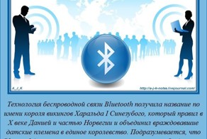 Интересные факты