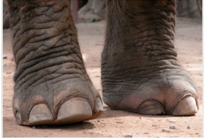 Жестокие способы казни, которые использовали наши предки