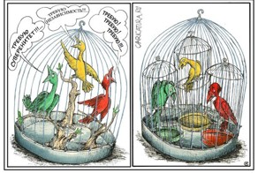 Вы получили то, что заслуживаете!