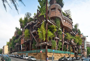 Деревьевя, растущие на доме