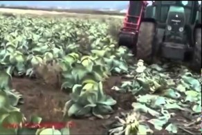 Чудо-техника