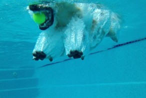 В нужный момент