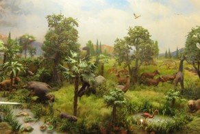 Когда ты родился? 