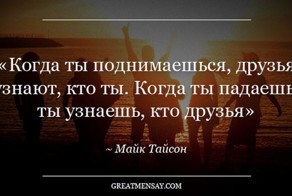 цитаты