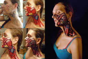 Внутренности напоказ: отличный подход к иллюстрациям по анатомии