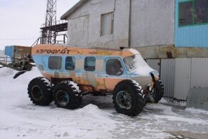 Бесплатно фото