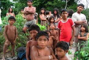 Язык, в котором нет слов  для обозначения цифр