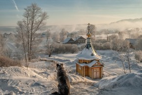 Лучшие фотографии месяца!