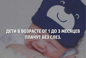 Интересности