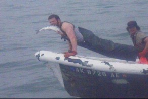 Шикарное фото