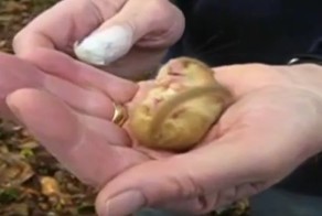 Маленький соня