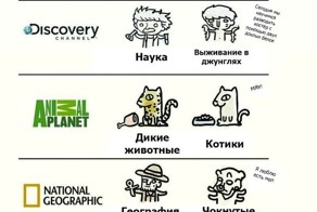 Телеканалы: Ожидание и Реальность