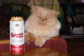 Всем на завтра