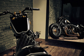 Венценосный жеребец