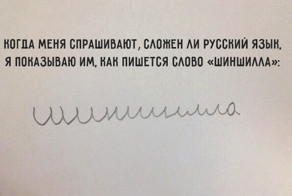 44 страшилки русской грамматики