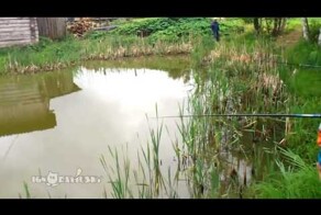 Засада на рыбалке