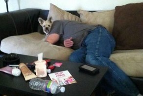 Шикарное фото