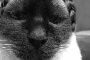 Фотоподборка