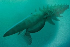 Креветка палеозоя оказалась размером с человека