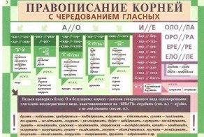 Эти правила правописания обязан знать каждый! 
