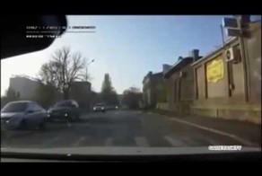 Пешеходам надо поучится у собаки
