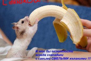 Что мы обсуждали в прошлом году