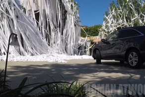 Закидывание дома тонной туалетной бумаги