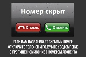 8 интересных фактов
