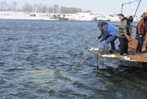 Из утонувшей машины вытащили молодую пару
