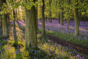 Удивительные рассветы в разных уголках мира 
