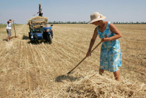 Украинские экспортеры пришлись Европе не ко двору