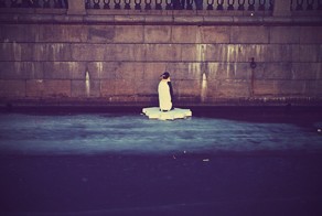 В Санкт-Петербурге в канале Грибоедова появился пингвин