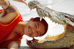 Как укрощают строптивых крокодилов