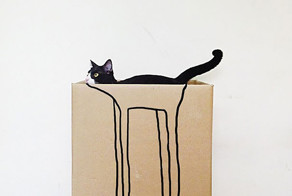 Коты – мастера камуфляжа или &quot;Найди кота&quot;