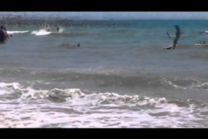 Пеликаны охотятся на рыбу