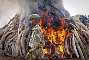 Подборка фотографий со всего мира