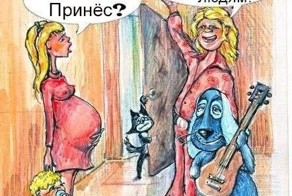 Фото прикол