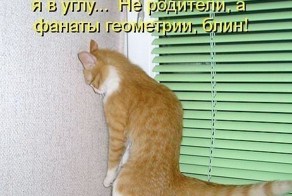 Новые фото